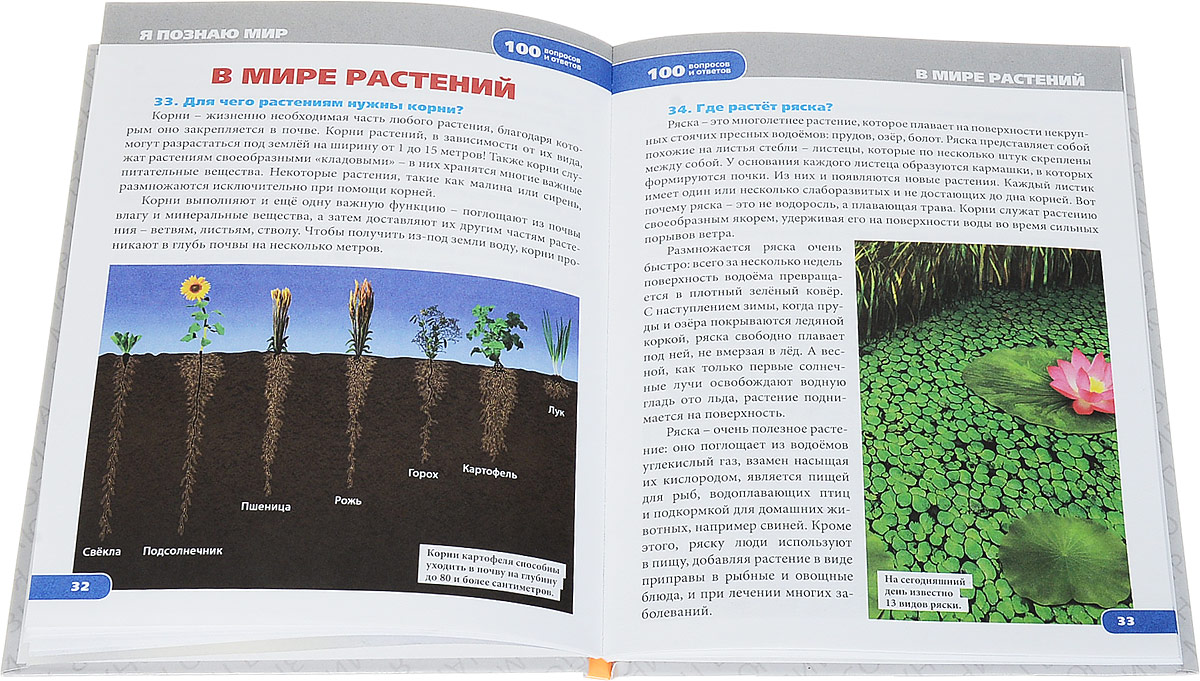 Энциклопедия экологии для детей. Энциклопедия я познаю мир растения. Энциклопедия я познаю мир. Растения. Энциклопедия. Энциклопедия экология для детей.