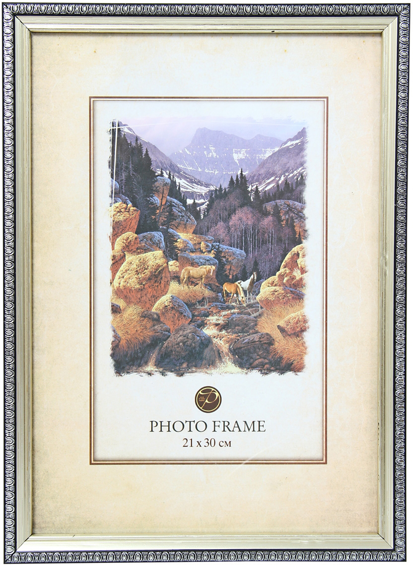 фото Фоторамка "Pioneer", цвет: серебристый, 21 х 30 см. 60068 PS 990-8