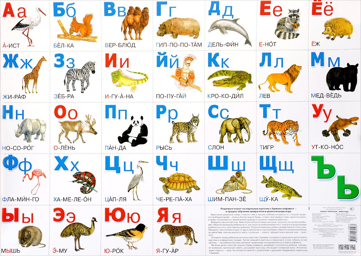 Буквы с животными картинки для детей