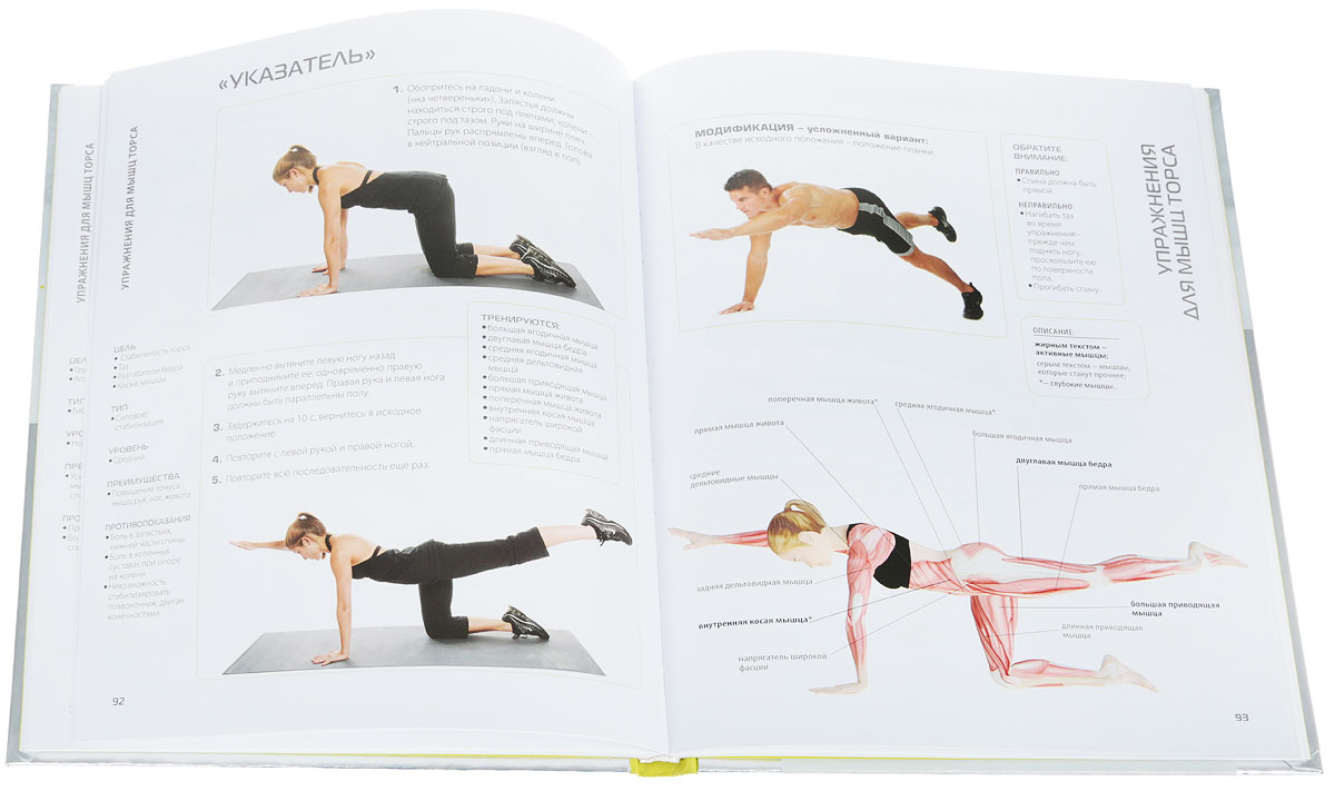 Анатомия тренировок для женщин