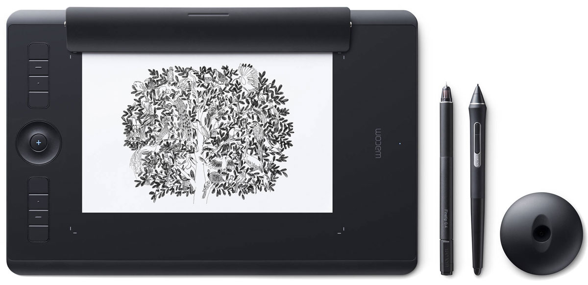 Wacom Intuos Pro Medium Paper (PTH-660P-R) + OEM Corel Painter2018, Black графический планшет с программным обеспечением Corel Painter 2018 Wacom Intuos Pro Medium Paper (PTH-660P-R) + OEM Corel Painter2018, Black графический планшет с программным обеспечением Corel Painter 2018