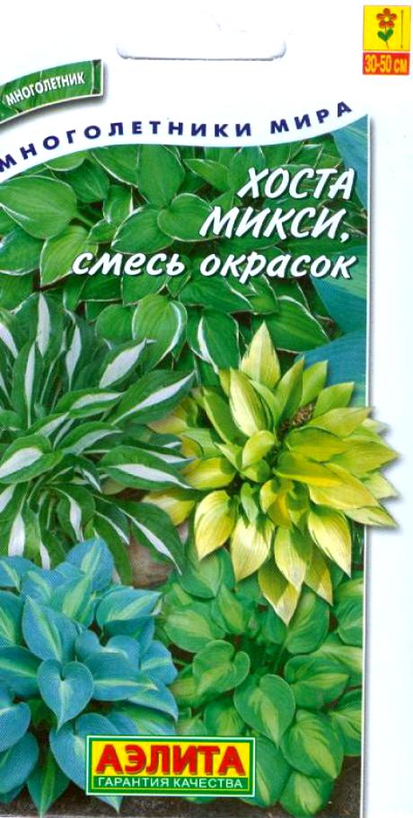 Каталог Многолетних Цветов В Интернет Магазине
