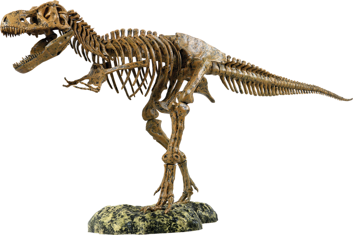 фото Edu-Toys Набор для 3D моделирования Скелет динозавра