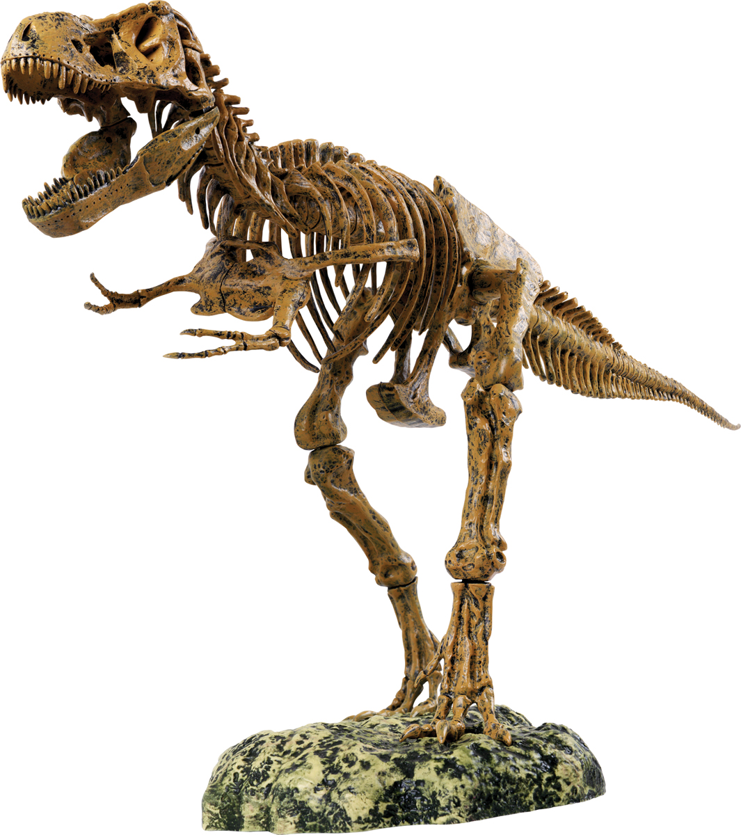 фото Edu-Toys Набор для 3D моделирования Скелет динозавра
