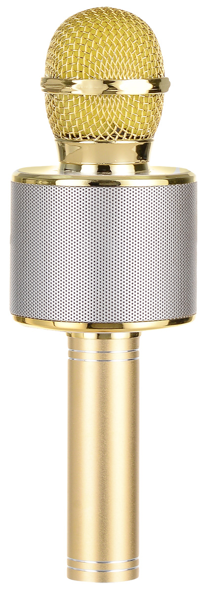 фото Караоке микрофон Karaoke Boom KB-WS858RU, BP-00001203, Gold