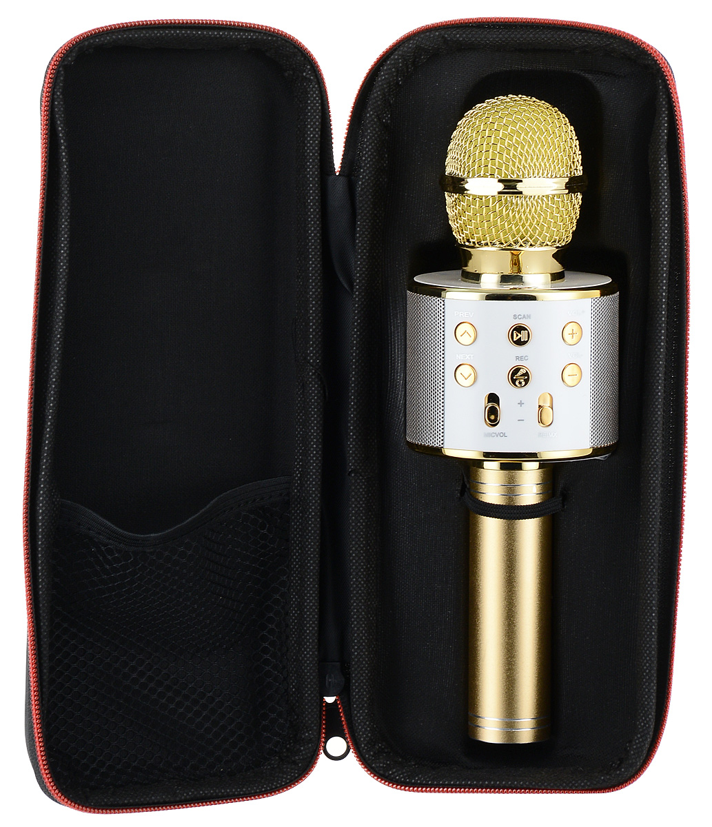 фото Караоке микрофон Karaoke Boom KB-WS858RU, BP-00001203, Gold