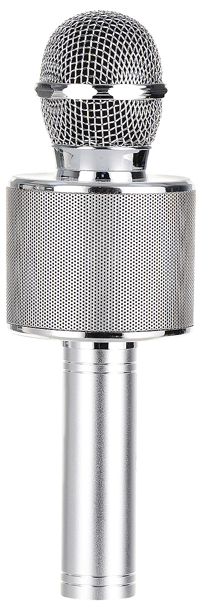 фото Karaoke Boom KB-WS858RU, Silver микрофон