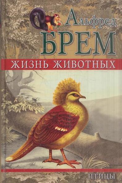 Жизнь животных. Птицы. Том 3. Отряд древесные птицы. Отряд попугаи. Отряд голубиные