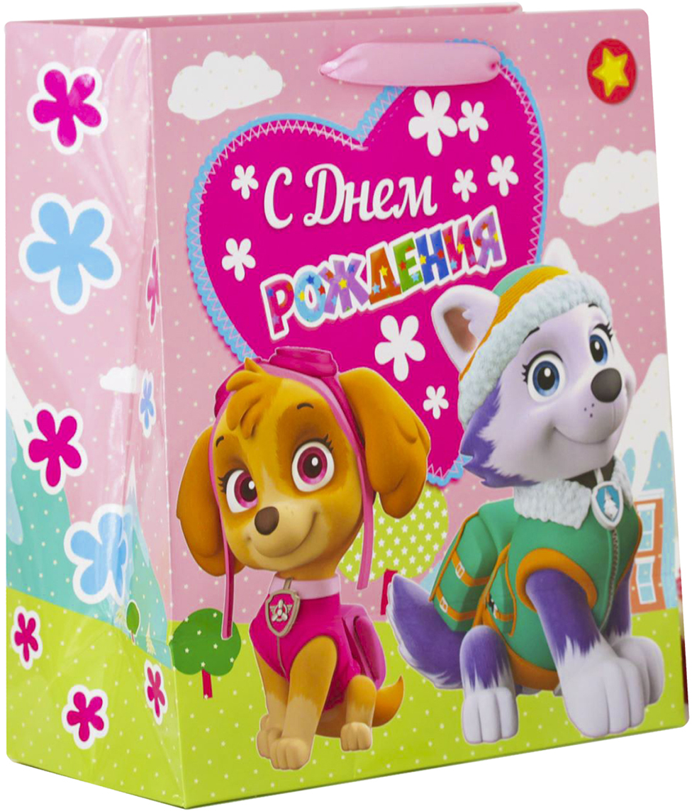 фото Пакет подарочный Paw Patrol "Воздушный День Рождения", 18 х 10 х 23 см. 2156471