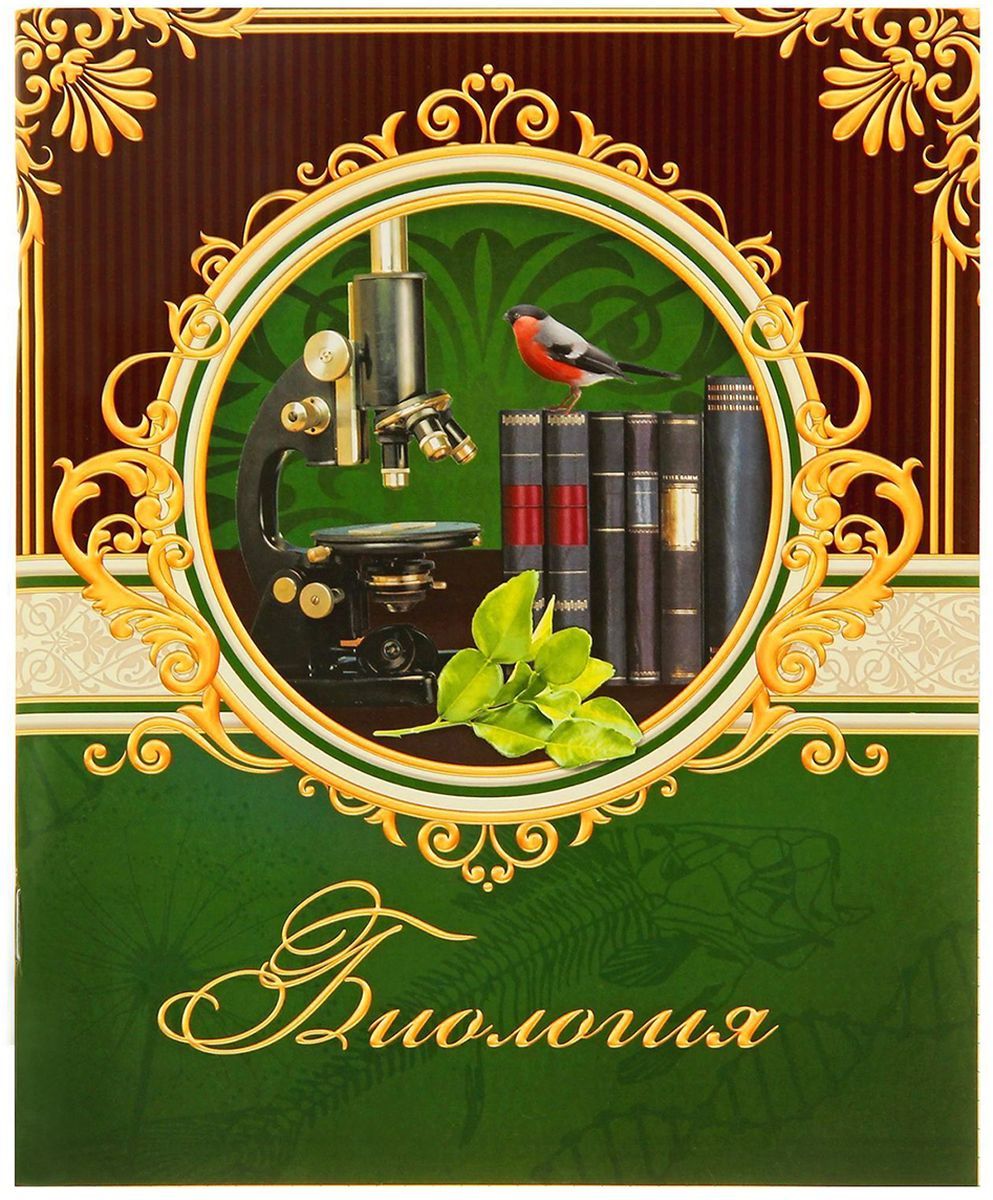 Биология тетрадь обложка. Предметные тетради 48 листов. Предметная тетрадь по биологии. Тетрадь 48 листов биология. Тетради для школы 48 листов предметная.
