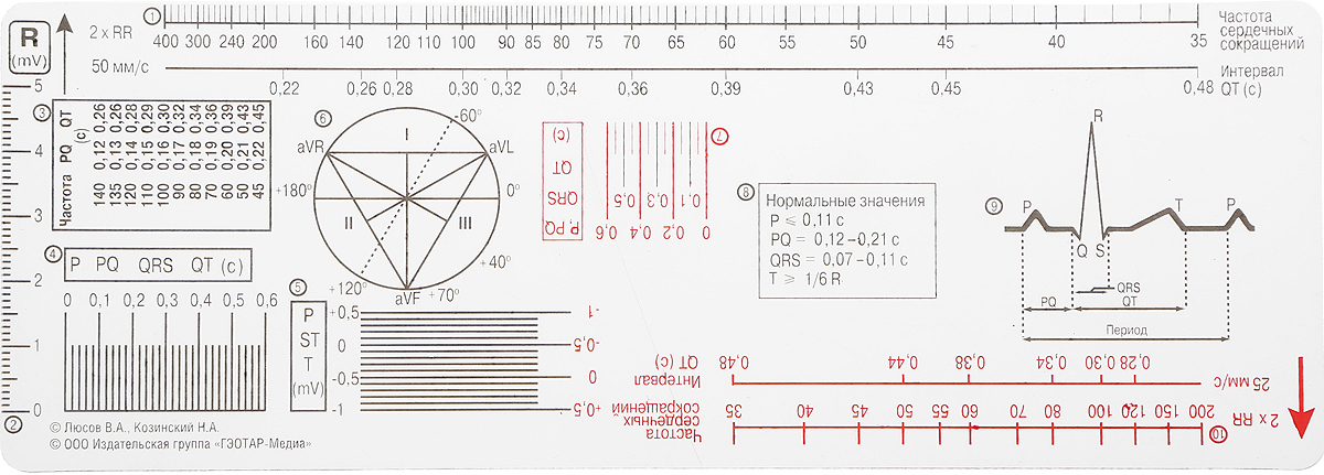 фото Линейка электрокардиографическая