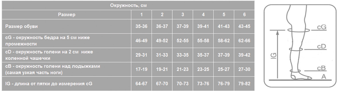 фото Колготки Ergoforma