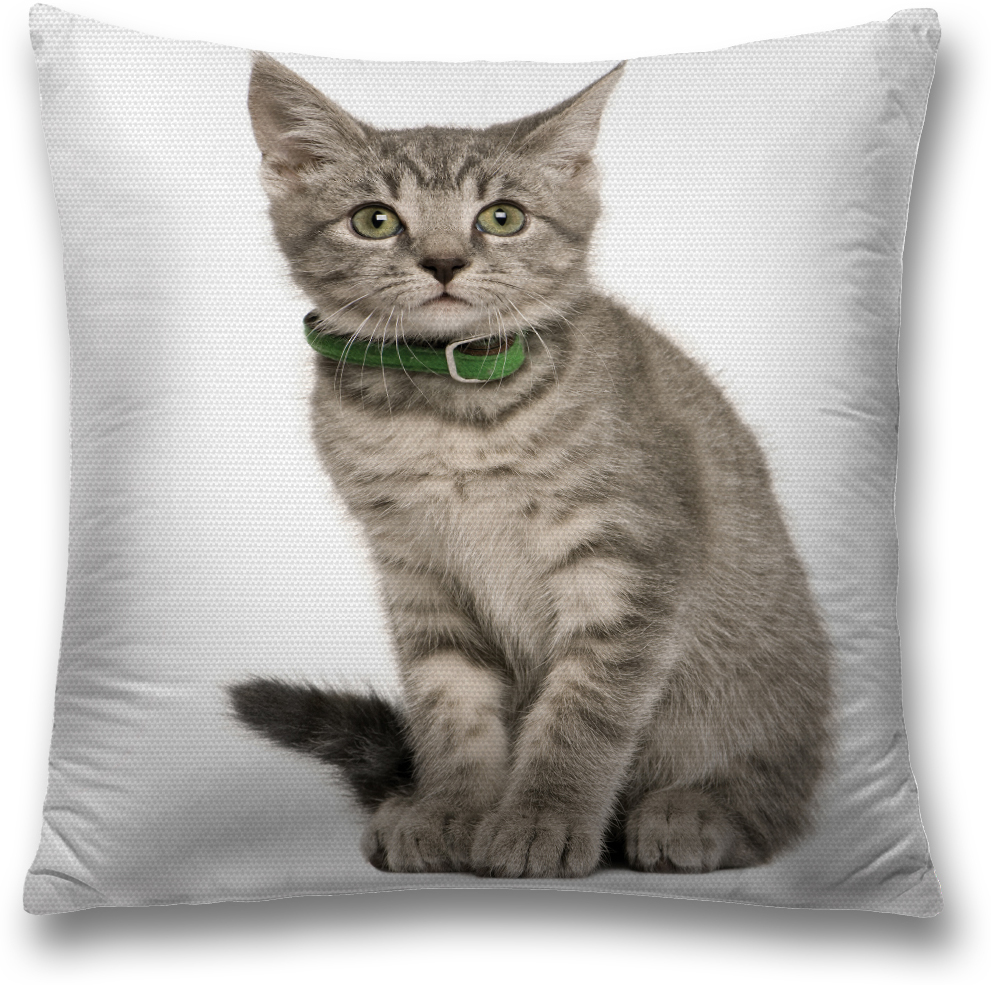 фото Наволочка декоративная Magic Lady Серый котенок", цвет: серый, 45 x 45 см