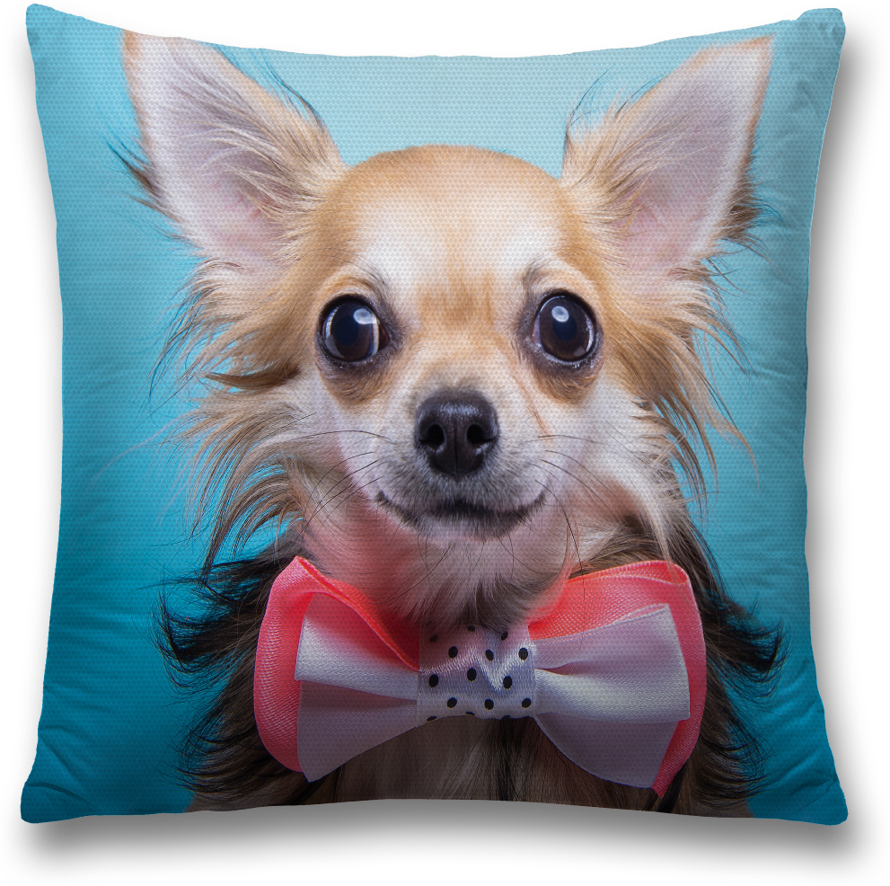 фото Наволочка декоративная Magic Lady "Пес с галстуком-бабочкой", цвет: разноцветный, 45 x 45 см