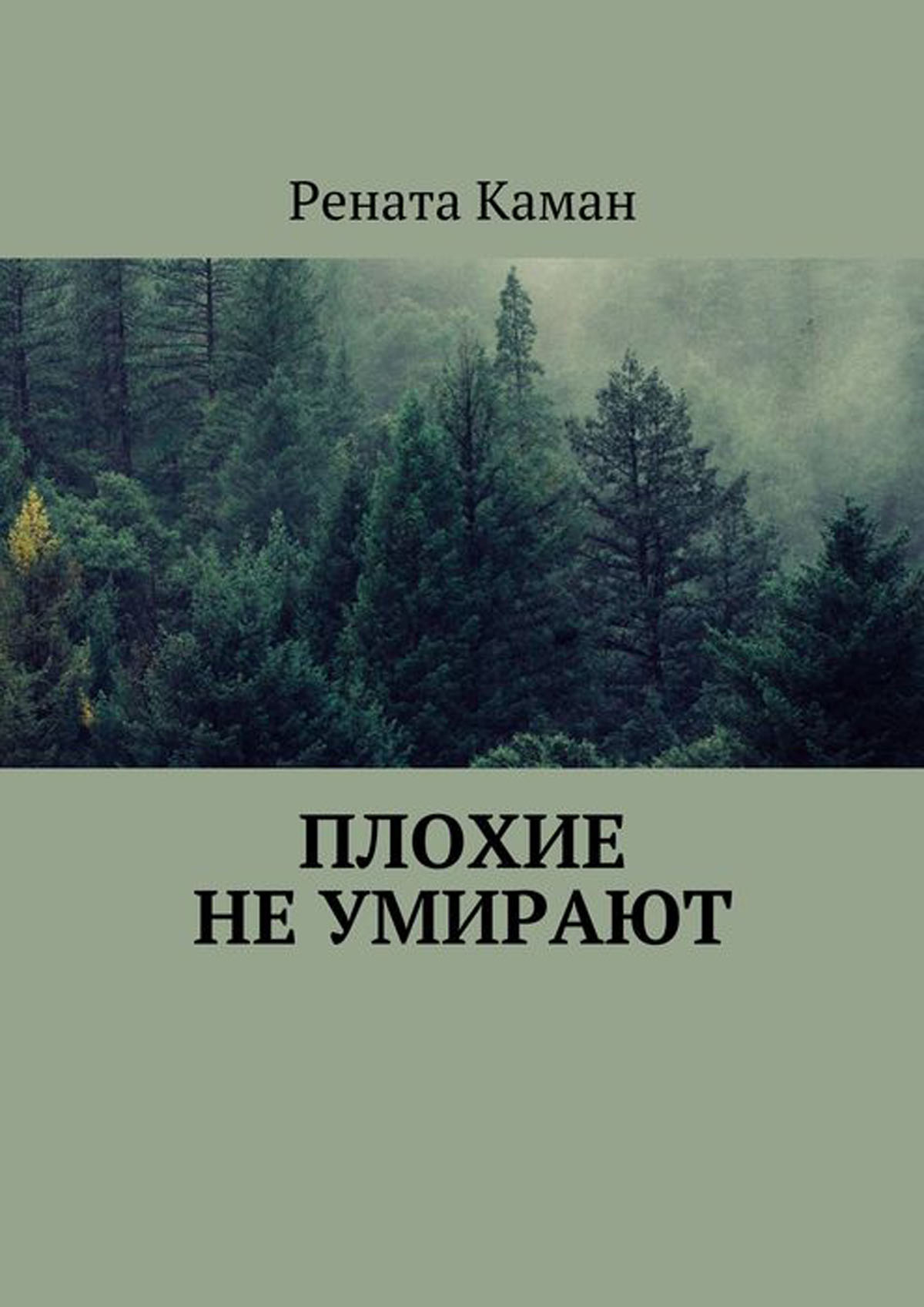 Плохие книги. Плохая книга. Рената Каман. Книга Рената.