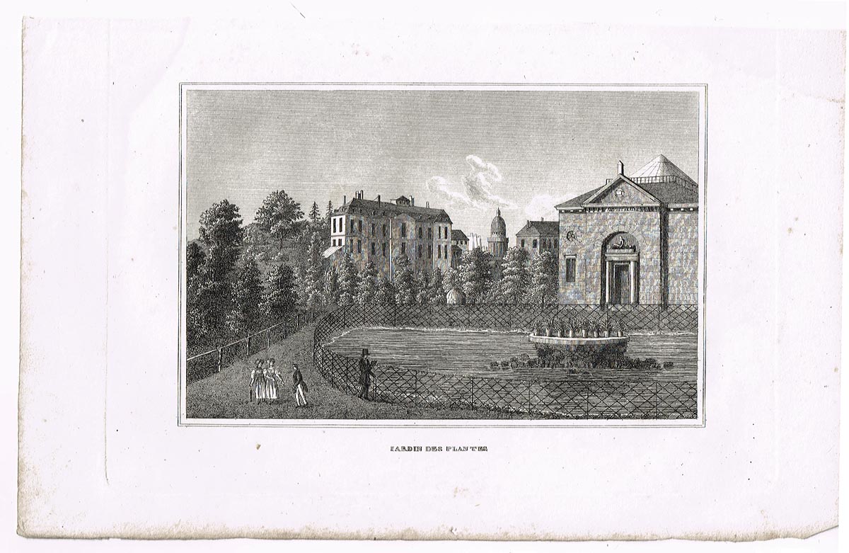 фото Сад растений Парижа (Jardin des plantes). Гравюра, офорт. Франция, 1830-1840 гг