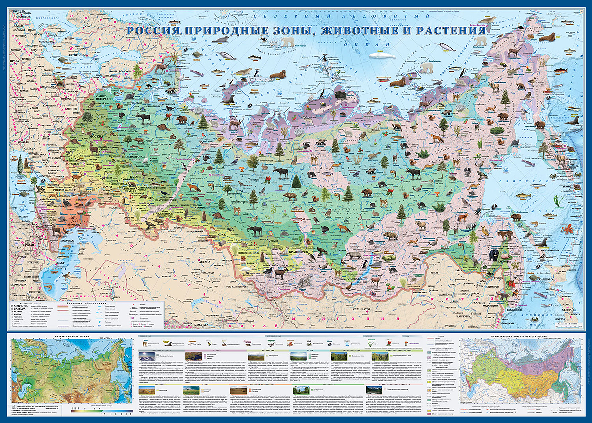 Карта с обитанием животных в россии