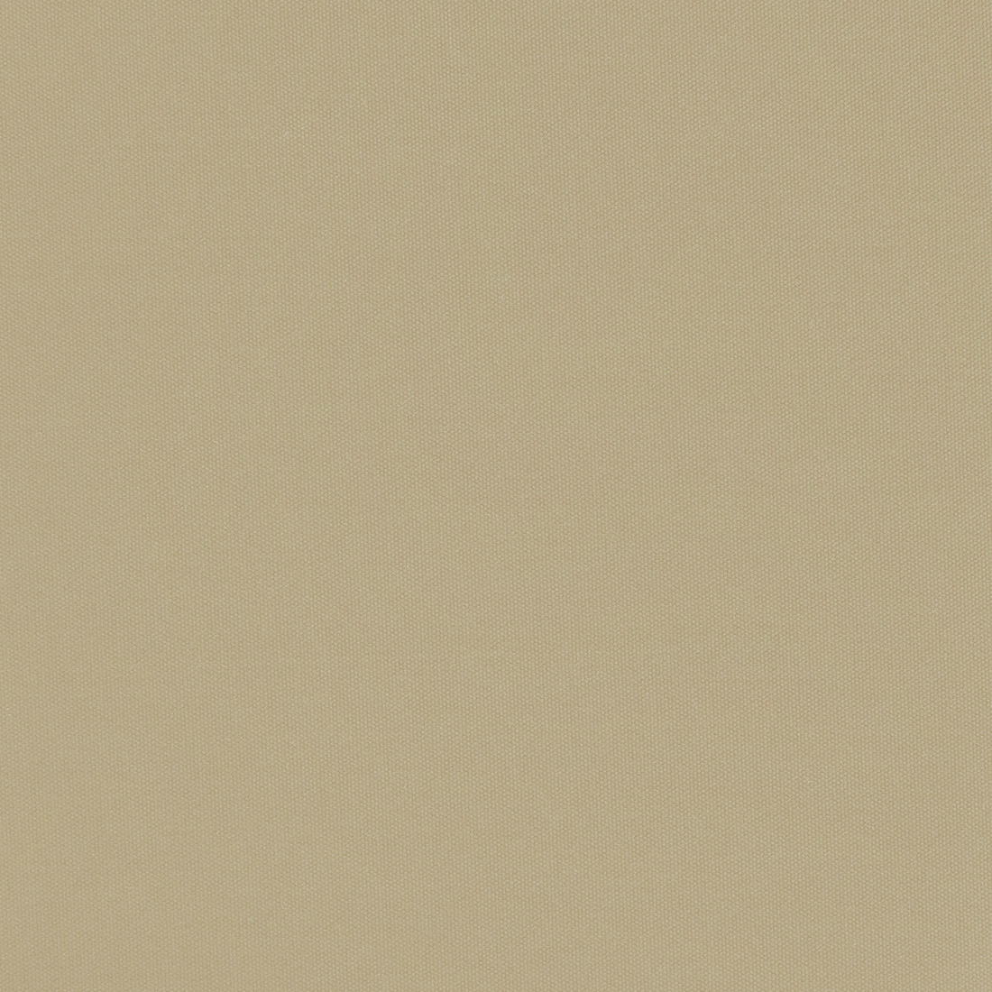 фото Рулонные шторы Dome , Ширина52 см, Однотонный
