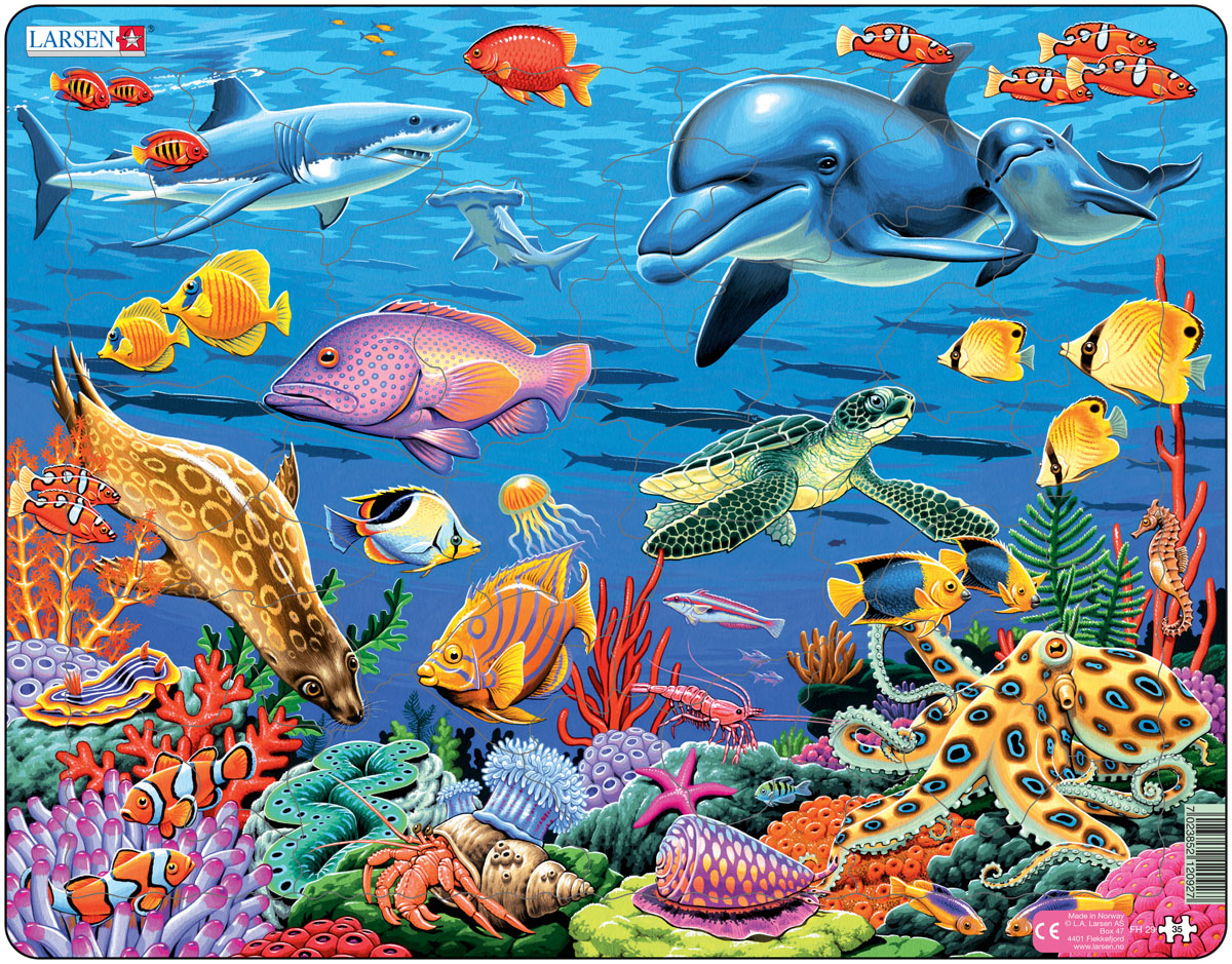 рыбы океанов картинки