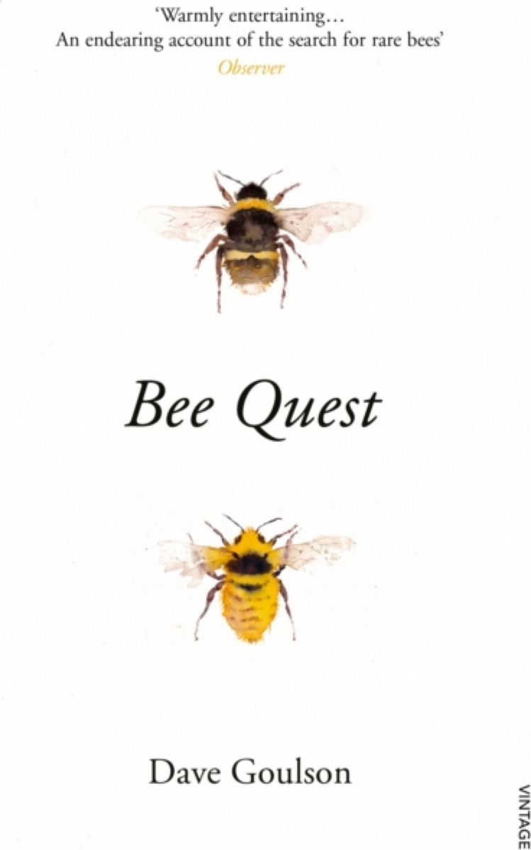 фото Bee Quest Vintage