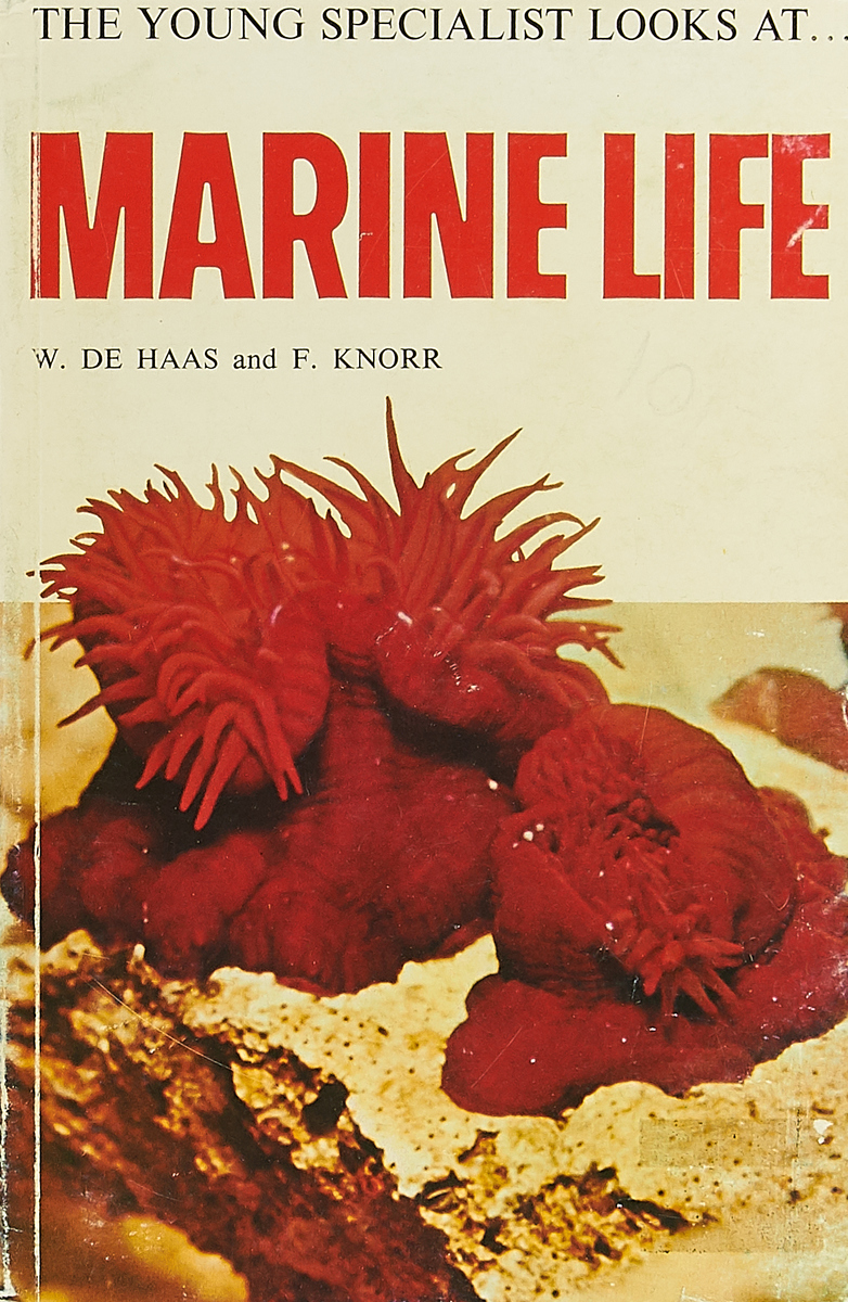 фото Marine life