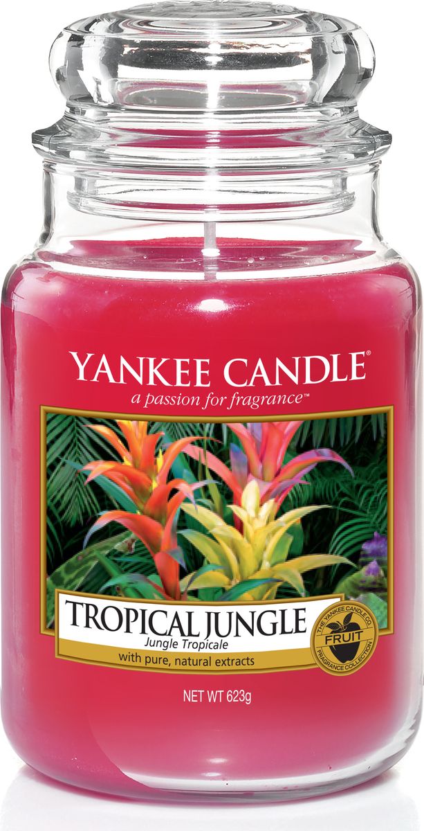 фото Свеча ароматизированная Yankee Candle "Тропические джунгли / Tropical Jungle", цвет: красный, высота 16,8 см