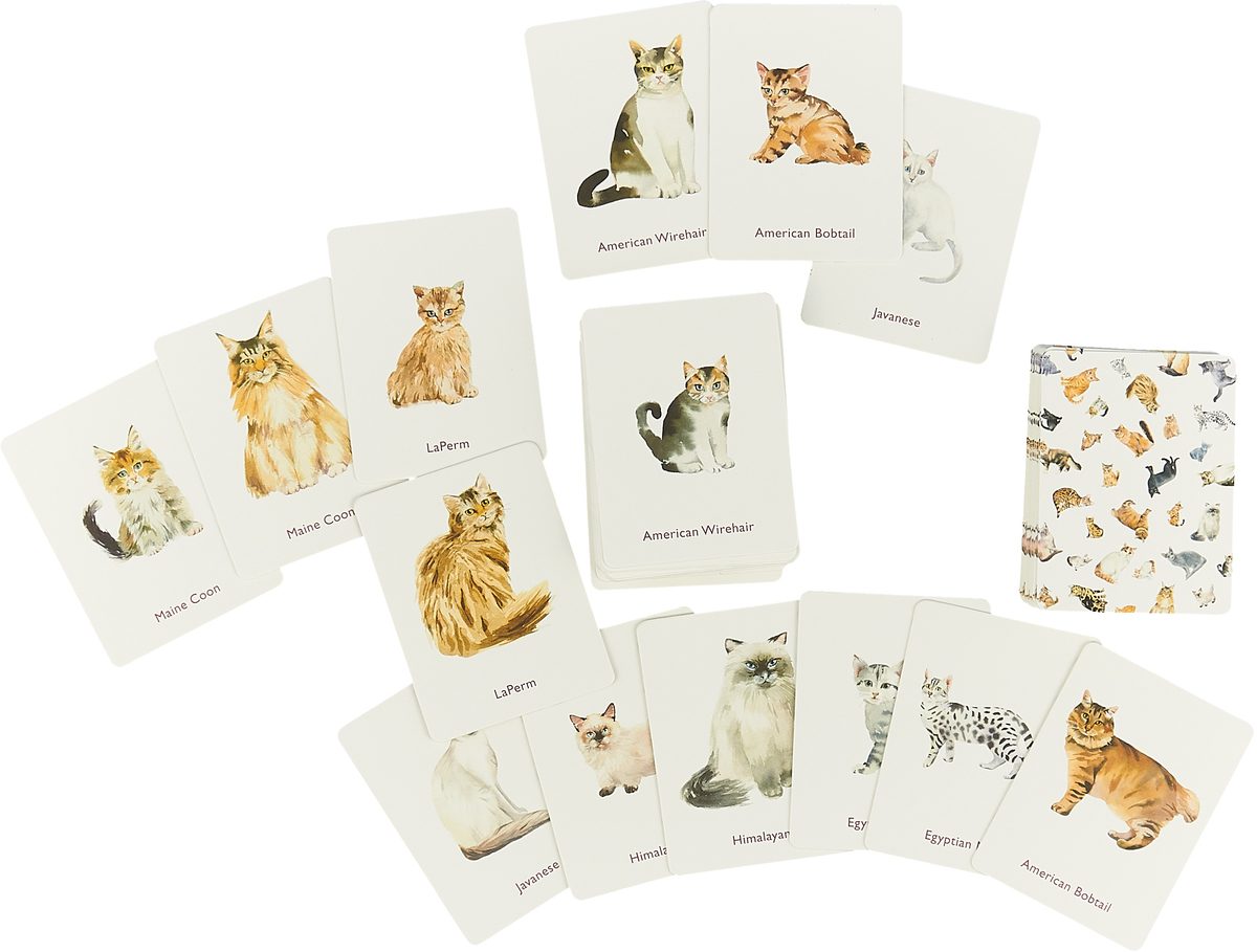 фото Cats & Kittens: A Memory Game Laurence king