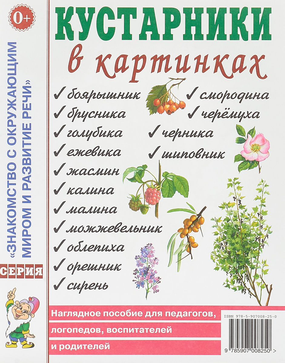 Посуда в картинках наглядное пособие для педагогов логопедов воспитателей и родителей