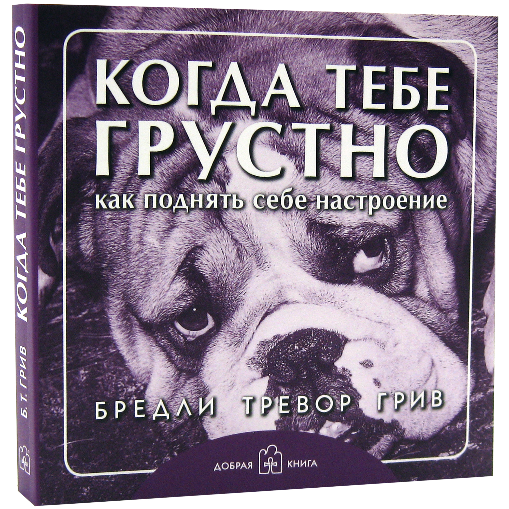 Когда тебе грустно... Как поднять себе настроение. Бредли Тревор Грив