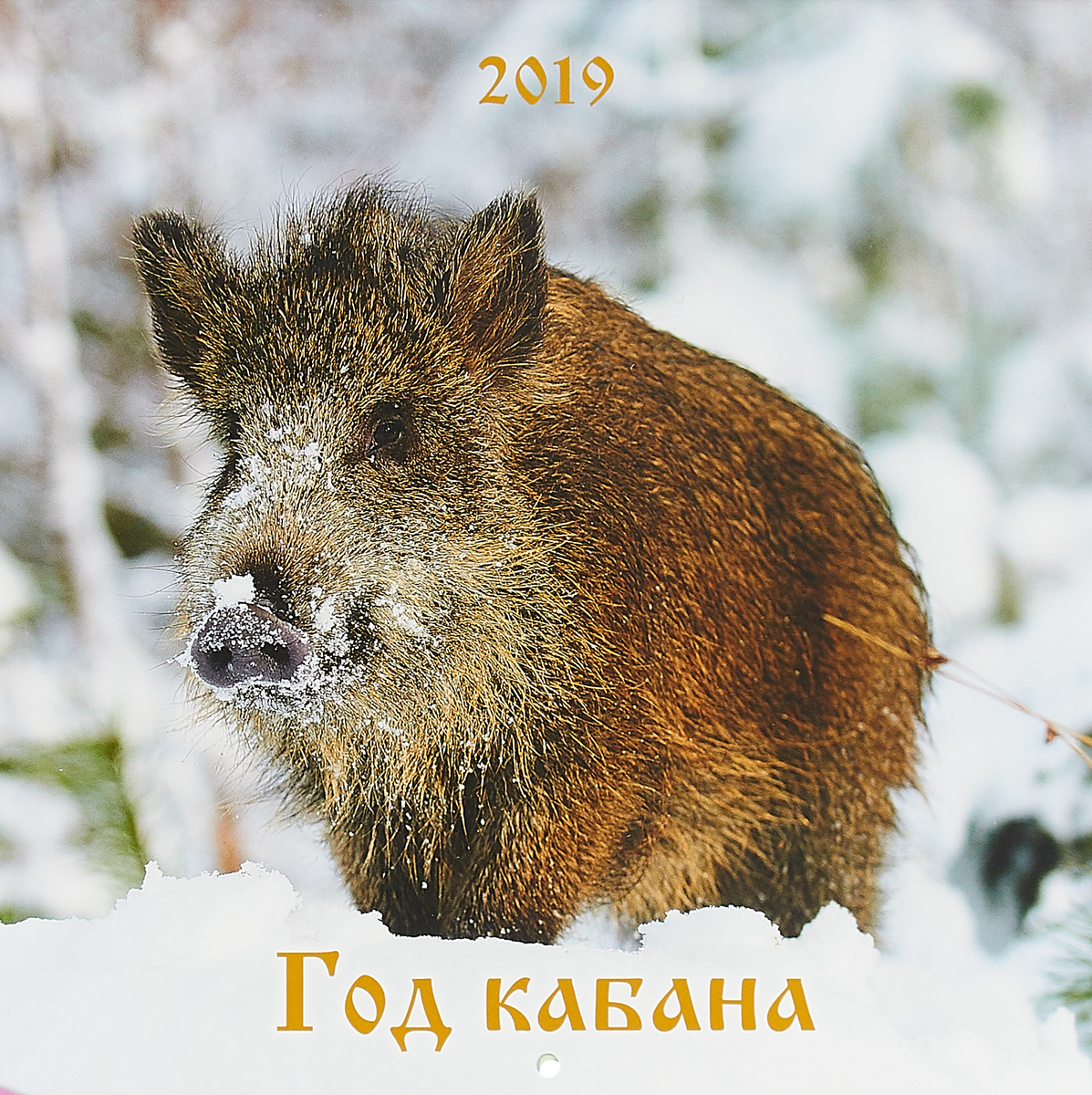 Кофе, картинки в год кабана