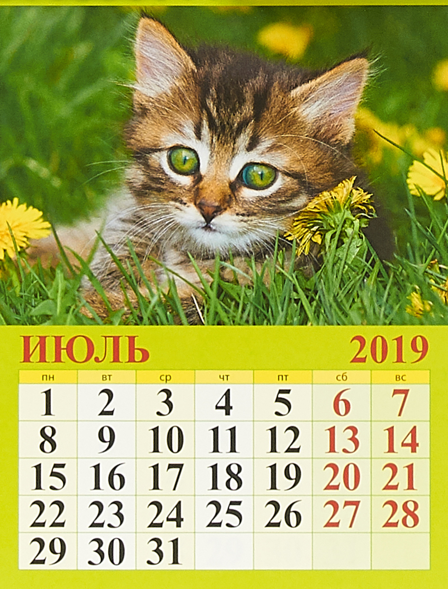 Прикольные картинки на календарь