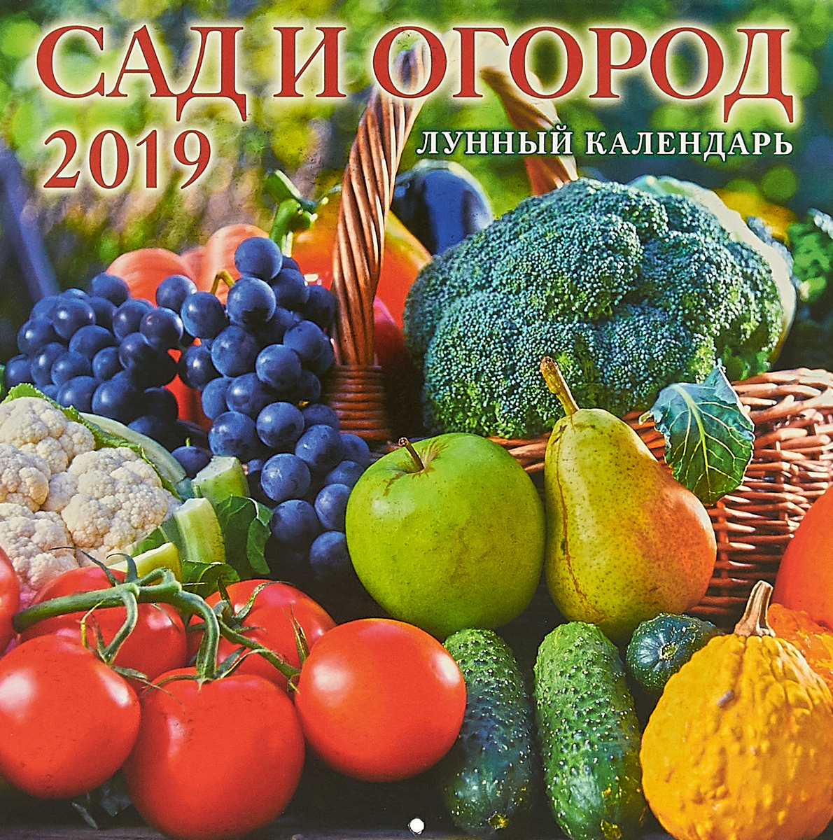 Огородный календарь на август