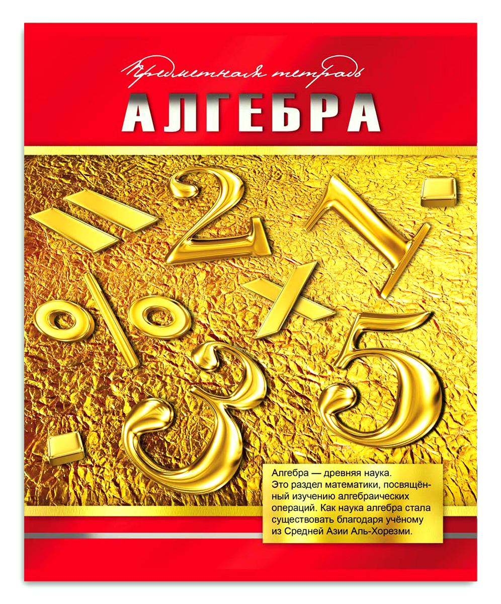 Тетрадь по алгебре. Тетрадь profit 48 листов. Тетрадь по алгебре в клетку. Тетрадь 48 листов Золотая по алгебре. Предметные тетради 48 листов profit.