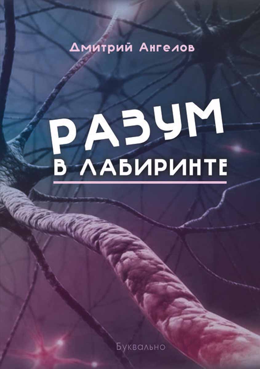 Разум в лабиринте