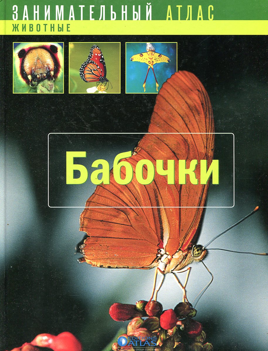 сад бабочек хатчисон дот книга фото 42