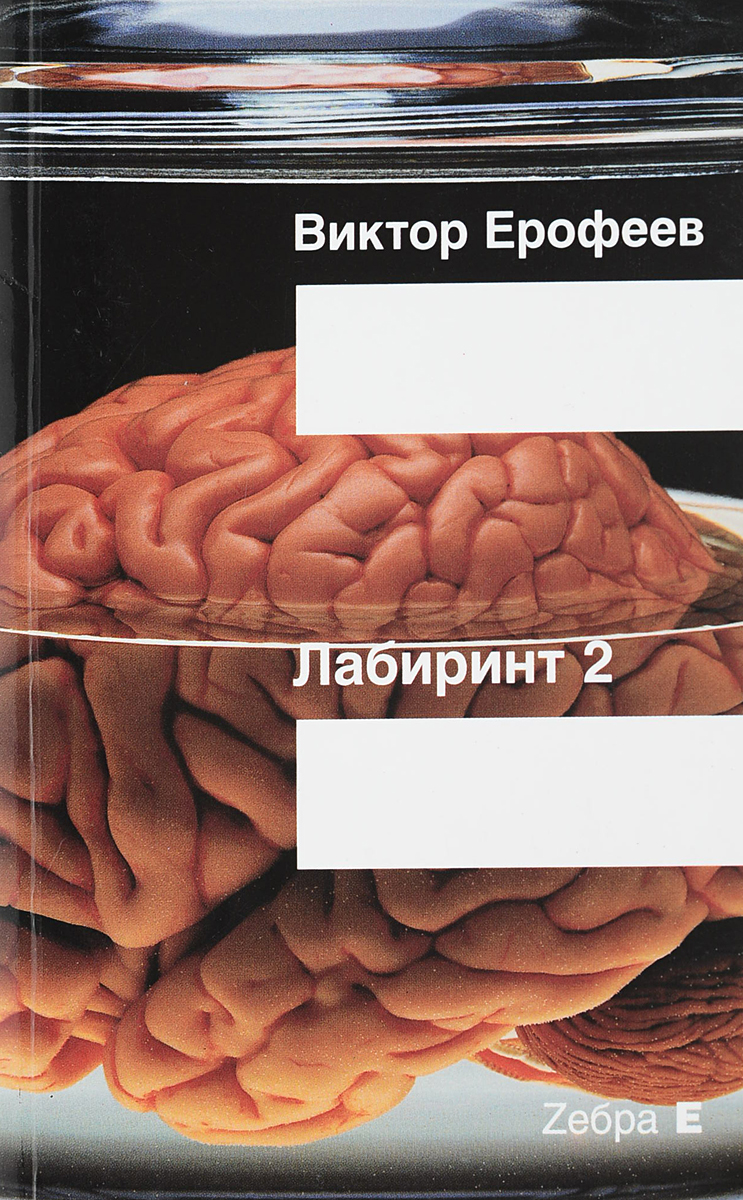 Лабиринт 2 читать. Лабиринт два остается одно произвол.