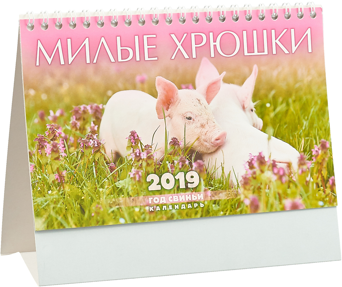 Календарь настольный на 2019 год. Милые хрюшки