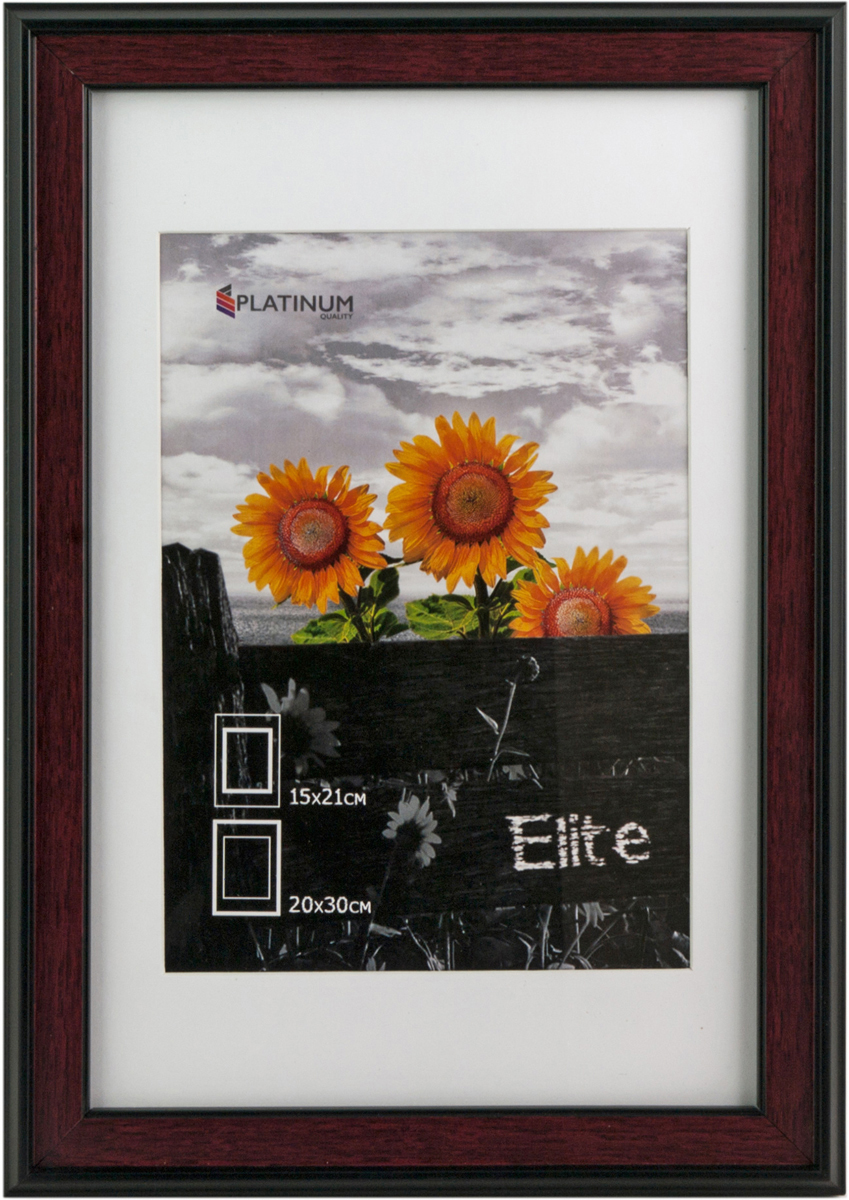 фото Фоторамка Platinum "Elite", с паспарту, цвет: коричневый, 15 х 21 см, 20 х 30 см. W2369