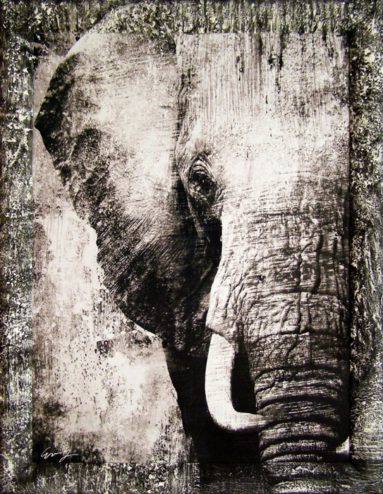 фото Картина Dekart "Слон", 71,5 х 91,5 х 2 см