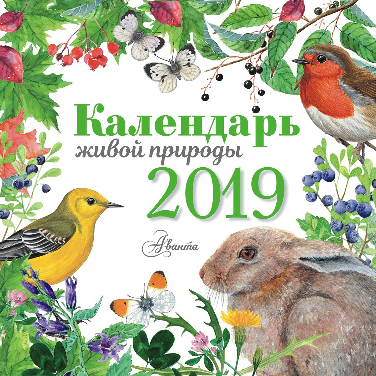 Календарь 2025 год природа
