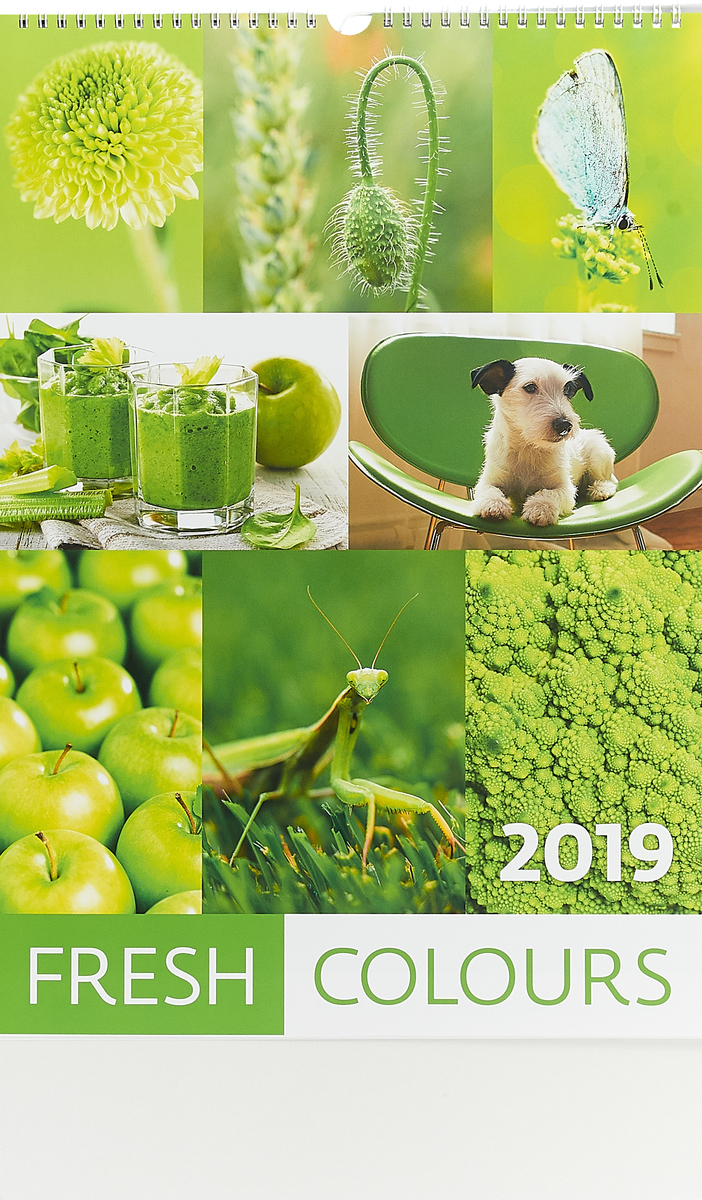 Календарь 2019. Fresh Colours / Разноцветный мир Календарь 2019. Fresh Colours / Разноцветный мир