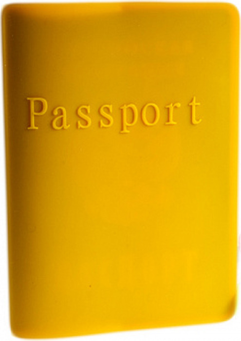 фото Обложка для паспорта "Partner", цвет: оранжевый. ПР032763