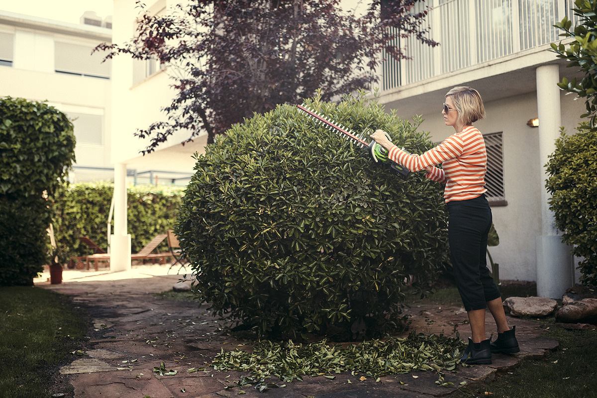 фото Кусторез GreenWorks 24В делюкс (без аккумуляторной батареи и зарядного устройства)