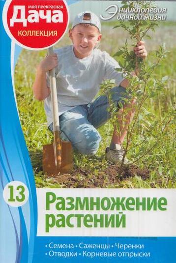 Ооо Дачная Энциклопедия Интернет Магазин