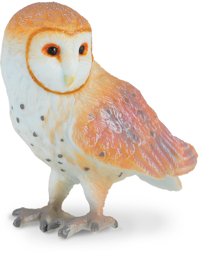Характеристики Collecta Фигурка Амбарная сова, подробное описание ...