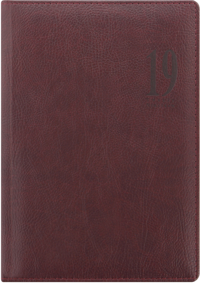 Ежедневник Letts Milano, датированный, цвет: темно-коричневый, A5, 208 листов в линейку