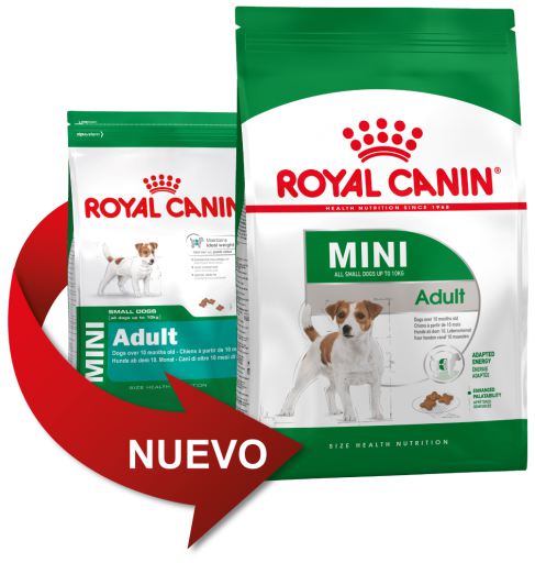 фото Корм сухой Royal Canin "Mini Adult 8+", для собак весом до 10 кг старше 8 лет, 4 кг