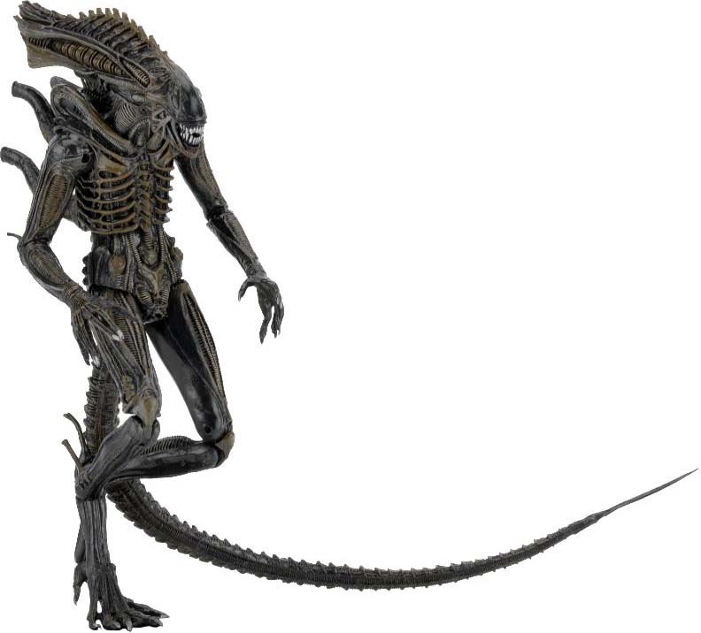 neca alien defiance