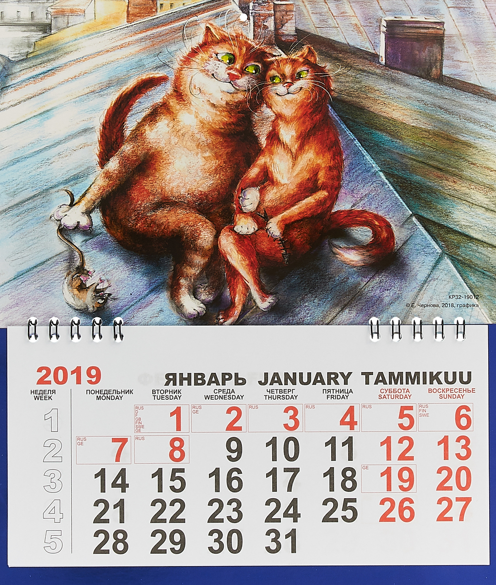 Календарь отрывной на 2019 год. Кото-Питер