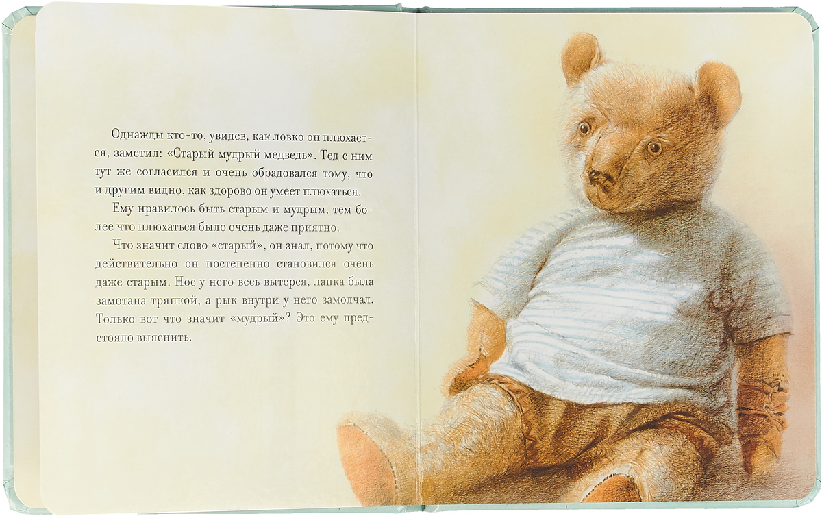 Мудрый медведь. Мишка с книгой. Книжные мишки Мишкины книжки.